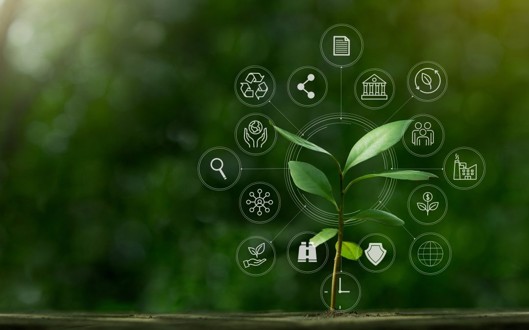 Why Sustainability in Lighting Manufacturing Matters and How DISTRON Is Leading the Charge