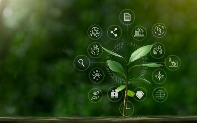 Why Sustainability in Lighting Manufacturing Matters and How DISTRON Is Leading the Charge